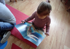 Dziewczynka ogląda ilustrację z dinozaurami